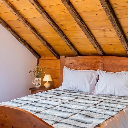 Lodge Casa Lu' Cojocar