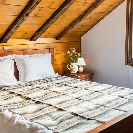 Lodge Casa Lu' Cojocar